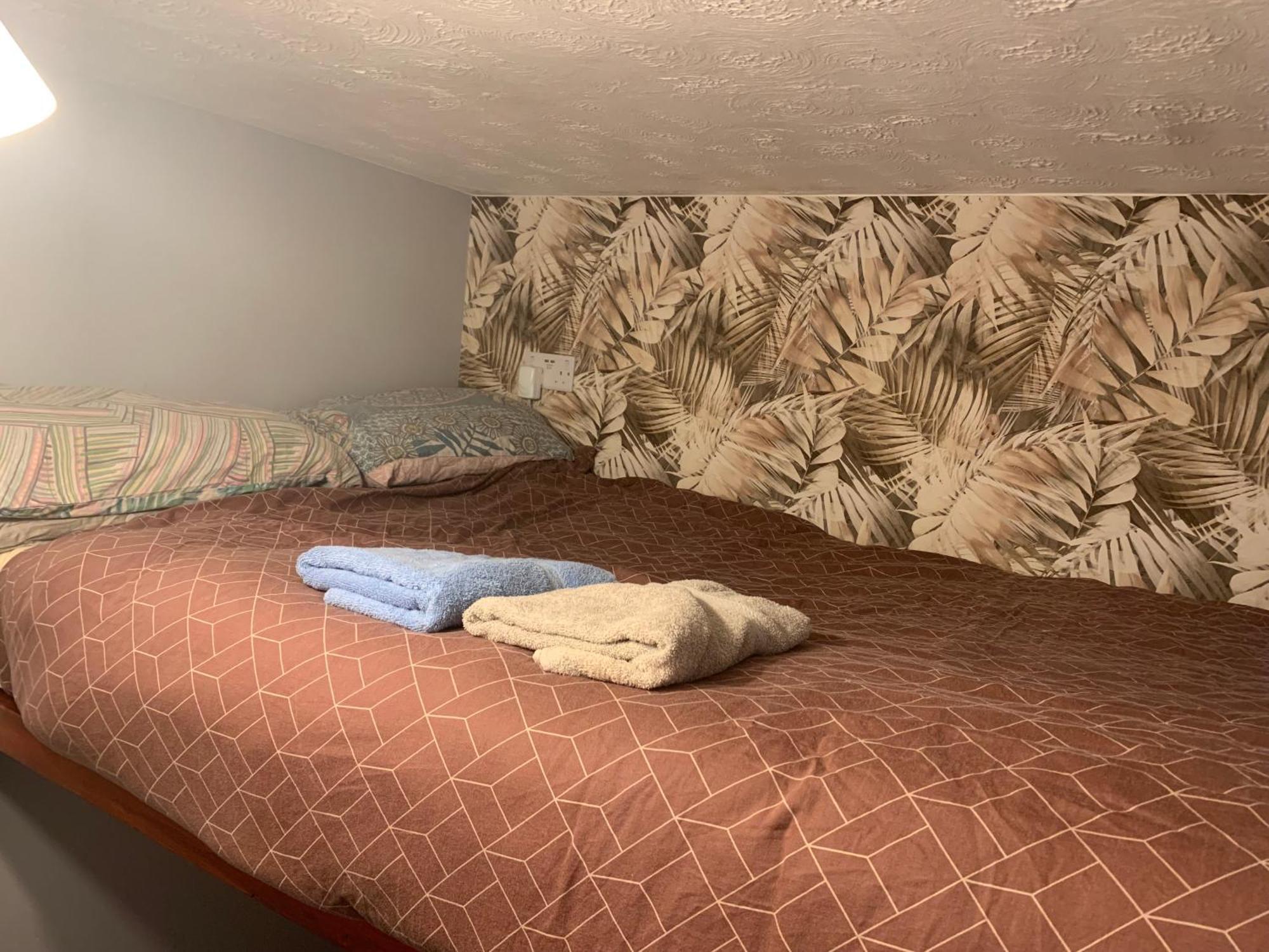 Wake Up With 2 Cats On Your Face Dublin Bagian luar foto